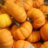 Here Are All Of The Pumpkin Items At Trader Joe's Right Now